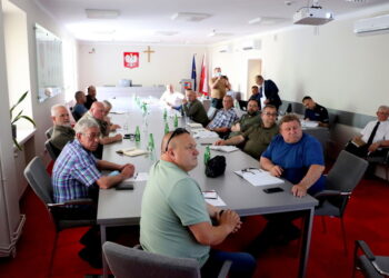 Mielec:  ASF w powiecie mieleckim.