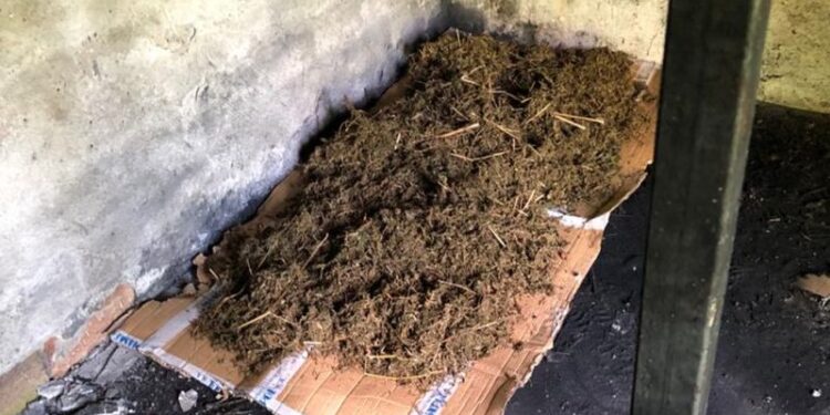 Sandomierz: Sandomierscy policjanci zabezpieczyli blisko 4 kg narkotyków.