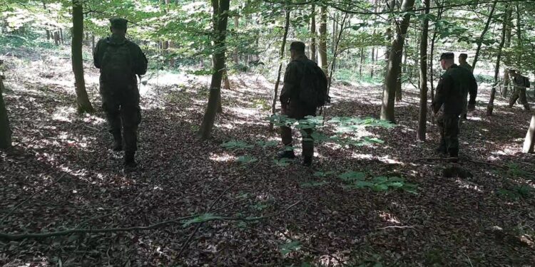 Mielec:  Kolejne przeszukania kompleksów leśnych w poszukiwaniu ASF.