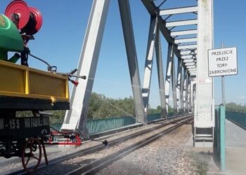 Mielec: Poszerzenie barier zapachowej przeciw  ASF.