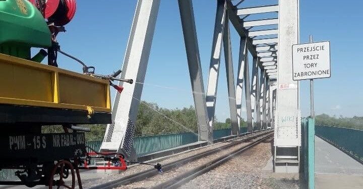 Mielec:  Do walki z ASF wkraczają siły WOT !