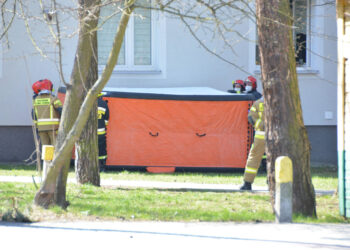 Stalowa Wola: Straż Pożarna w Stalowej Woli stara się o zakup skokochronu.