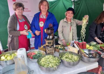 Sandomierz: Festiwal Organizacji Pozarządowych.