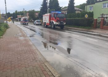 Dwikozy: Z mieszkania na drugim piętrze wypadło dziecko