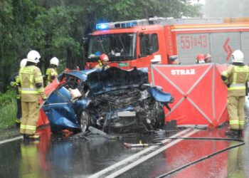 Stalowa Wola: Ruszyła zbiórka dla dzieci, które w sobotę w wypadku straciły rodziców