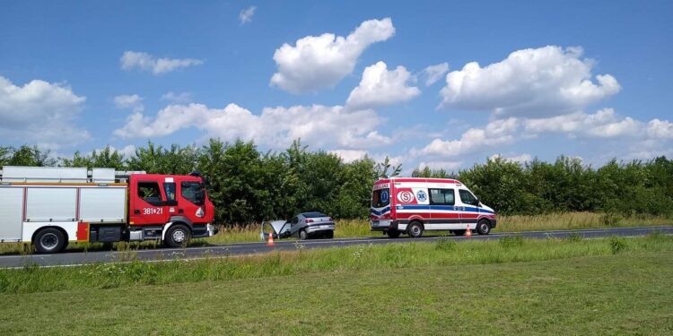 Stale: Auto w rowie.