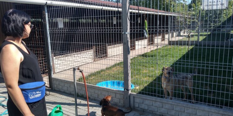 Mielec: Remonty w schronisku dla zwierząt.