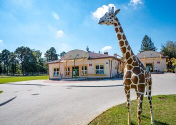 Rudnik nad Sanem: Projekt żłobka i przedszkola nominowany w konkursie Mistrzowskie zmiany