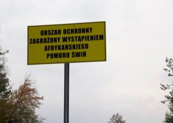 Mielec:  Strefy ograniczające przed ASF.
