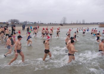 Tarnobrzeg. Morsy będą miały swoją siedzibę nad Jeziorem Tarnobrzeskim?