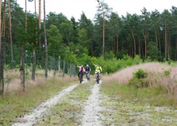 Mielec: 10. Mielecki Leśny MiniRajd Rowerowy.