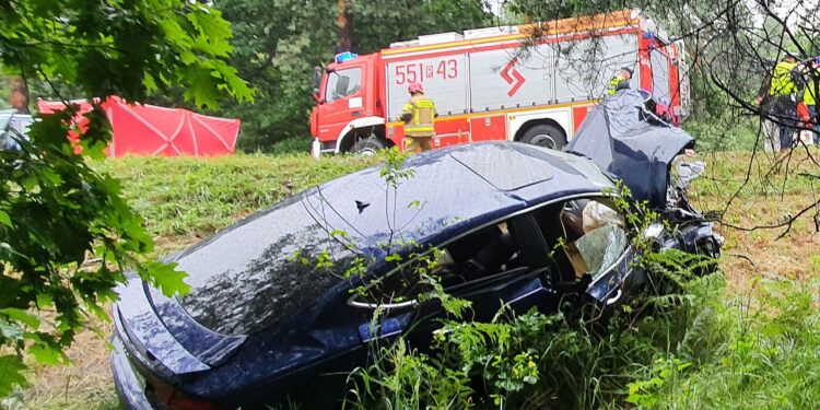 Stalowa Wola: Są zarzuty dla kierowcy podejrzewanego o spowodowanie śmiertelnego wypadku pod wpływem alkoholu