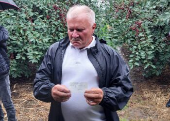 Sandomierz: Zdesperowani sadownicy proszą o pomoc ze strony rządu.
