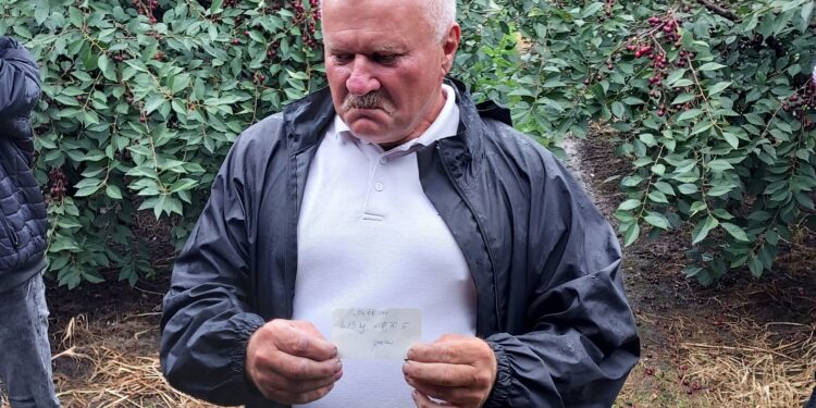 Sandomierz: Zdesperowani sadownicy proszą o pomoc ze strony rządu.