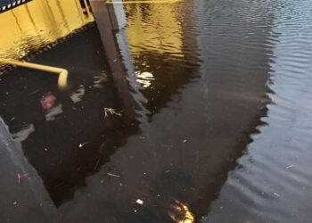 Podkarpackie, Tarnobrzeg, Mielec, Stalowa Wola: Interwencje po intensywnych opadach deszczu