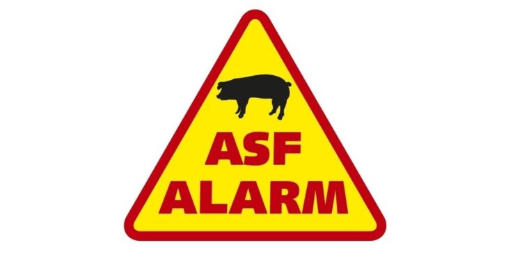 Mielec: ASF nie ma granic.