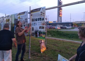 Mielec: Edukacja o pszczołach w terenie.