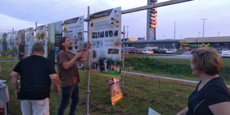 Mielec: Edukacja o pszczołach w terenie.