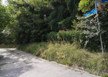 Tarnobrzeg. Są pieniądze na zabezpieczenie osuwiska skarpy przy ulicy Skrajnej