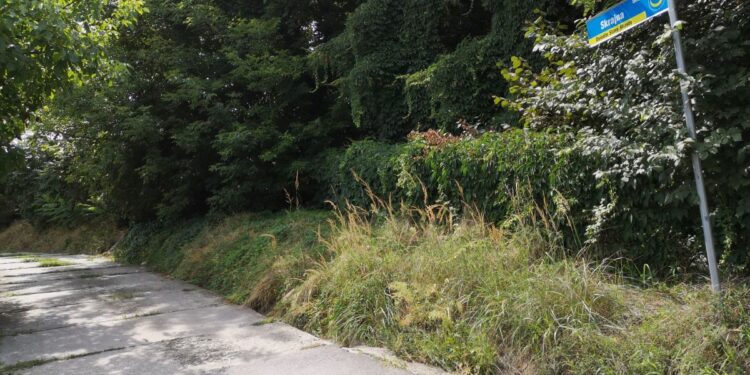 Tarnobrzeg. Są pieniądze na zabezpieczenie osuwiska skarpy przy ulicy Skrajnej