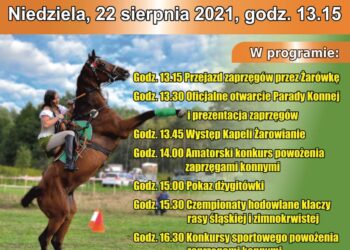 Radomyśl Wielki: Zapraszamy do Żarówki na Paradę Konną