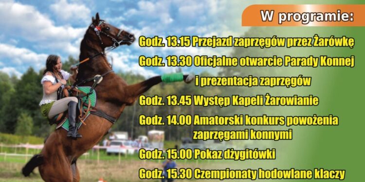 Radomyśl Wielki: Zapraszamy do Żarówki na Paradę Konną