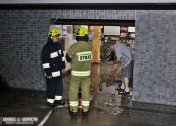 Tarnobrzeg, powiat tarnobrzeski. Kilkanaście zdarzeń w mieście. Dwa w powiecie. Strażacy się nie nudzili.