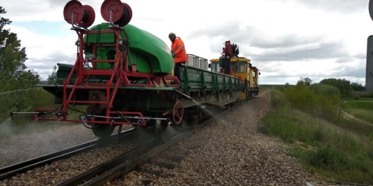 Mielec: Starostwo prosi o wsparcie kadrowe.