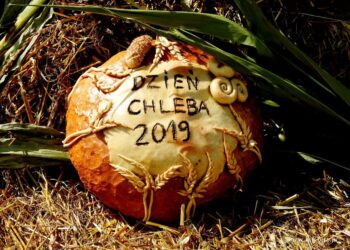 Staszów. Dzień Chleba i Święto Plonów