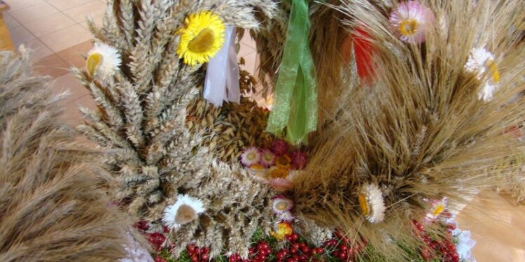 Powiat Mielecki: O tradycji nie zapominają…