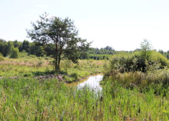 Mielec: Scalanie gruntów na nowo?