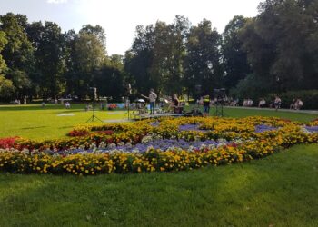 Tarnobrzeg. Świetne koncerty w parku dzikowskim. Co niedzielę.
