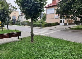 Nowa Dęba. Będzie bezpieczniej na trzech przejściach dla pieszych