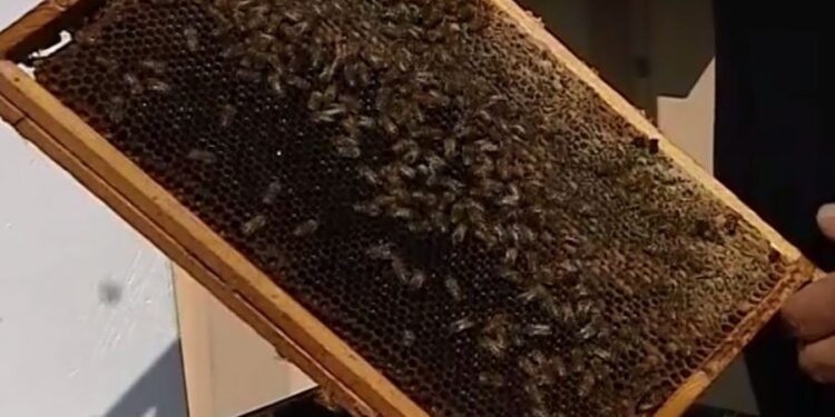 Mielec: Dialog, kluczem do rozwiązywania problemów.