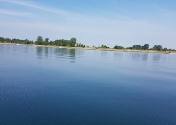 Tarnobrzeg. Cienia na plaży nie zapewnią ale o porządek zamierzają dbać.