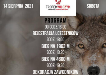 Baranów Sandomierski. Nowoczesne technologie dla turystów