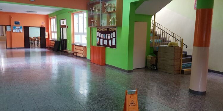 Tarnobrzeg. Medale przedwojennego sportowca odnalezione przez poszukiwacza z Tarnobrzega.