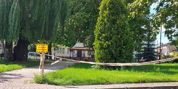 Koprzywnica: Rozpoczyna się rewitalizacja rynku.