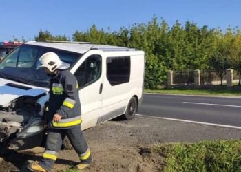 Gorzyce: Bus zjechał z drogi