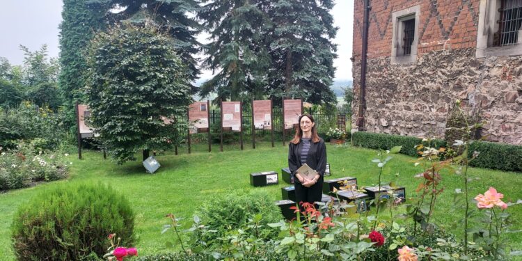 Sandomierz: W ogrodzie Marcina z Urzędowa.