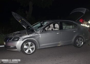 Suchorzów: Zderzenie z sarną