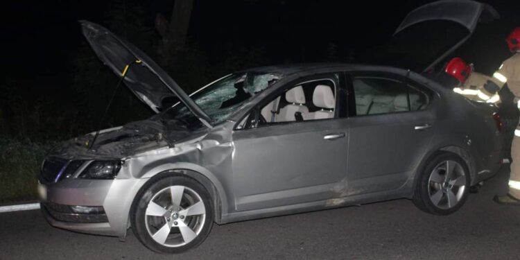 Suchorzów: Zderzenie z sarną