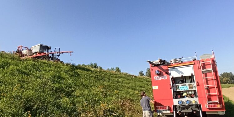 Borowa: Bronimy się przed ASF.