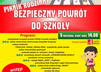 Kępie Zaleszańskie: Piknik rodzinny.