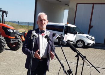 Tarnobrzeg. O plaży i punktach handlowych nad Jeziorem Tarnobrzeskim.