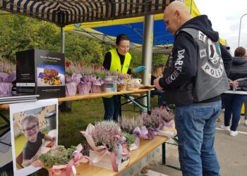 Tarnobrzeg. Tłumy na pikniku dla Leosia.