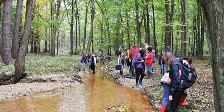 Tarnobrzeg. Sposób na suszę. Przeciwdziałanie powodzi. Poznali zasady małej retencji.
