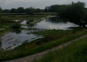 Tarnobrzeg. Wystąpiły lokalne podtopienia. Pompa przerzuca wodę z Piskorzeńca.