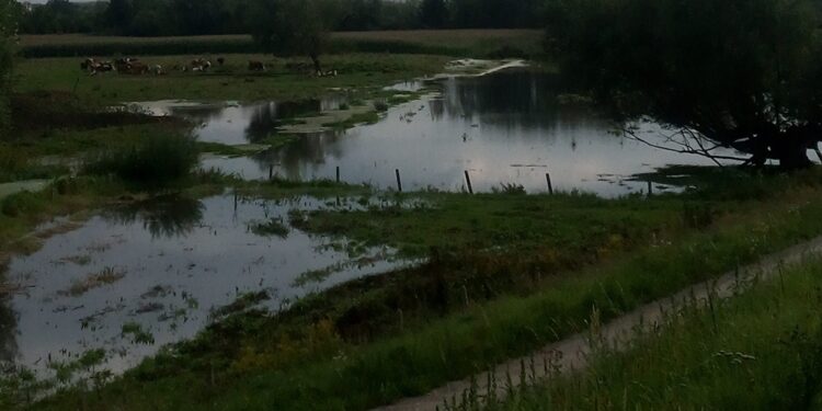 Tarnobrzeg. Wystąpiły lokalne podtopienia. Pompa przerzuca wodę z Piskorzeńca.