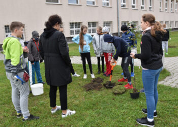 Stalowa Wola: Uczniowie 'Jedynki’ posadzili swoje drzewa